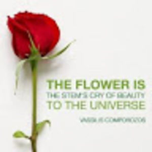 Meet your Posher, Young trouble